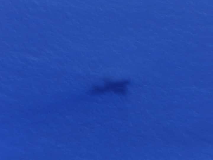 Search for MH370: Aus hopeful as more items pulled from sea