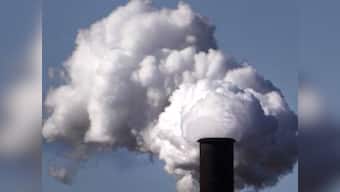 Forest based carbon credits may be increased after new findings