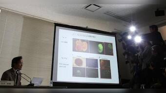 Japan finds fraudulent steps in &quot;breakthrough&quot; stem cell paper