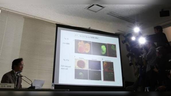 Japan finds fraudulent steps in &quot;breakthrough&quot; stem cell paper