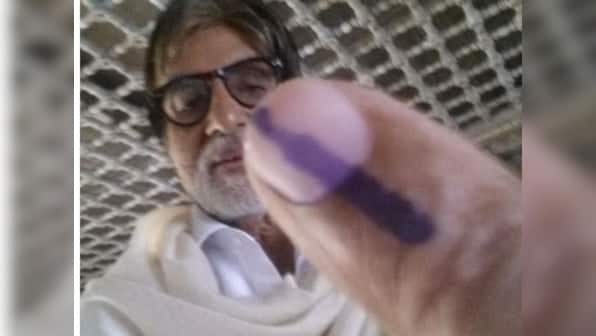 Better a voter selfie than an IPL update: At least it's inclusive