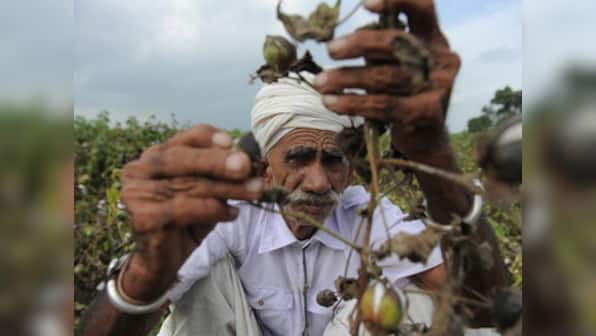 South Asia may see below average to average monsoon in 2014: WMO