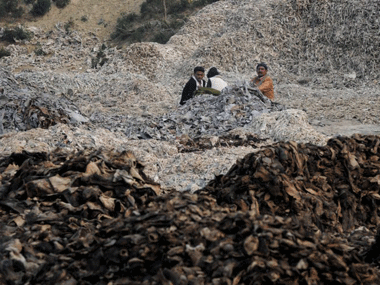 Ghaziabad, Noida and Kanpur are all critically polluted, says UP's chief secy Ghaziabad, Noida and Kanpur are all critically polluted, says UP's chief secy