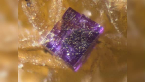 New mineral discovered in Australia, named Putnisite