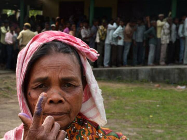 Elections 2014: Why opinion polls don't hold any relevance