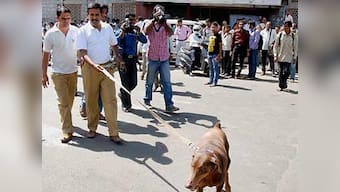 Bomb explosion in Tamil Nadu temple town injures one