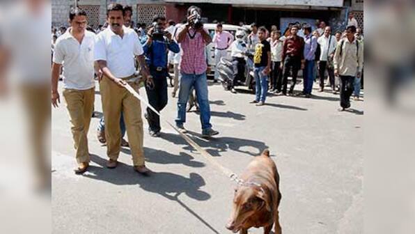 Bomb explosion in Tamil Nadu temple town injures one