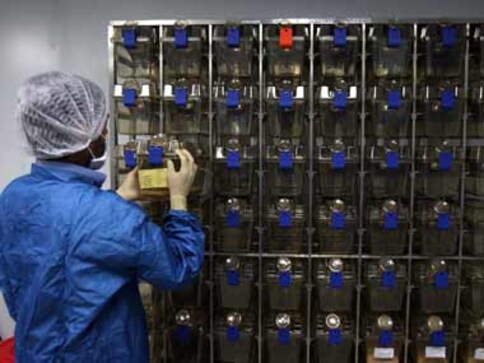 Dendritic Cell Therapy trials successful in India