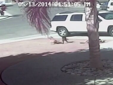 Screenshot from the video. 