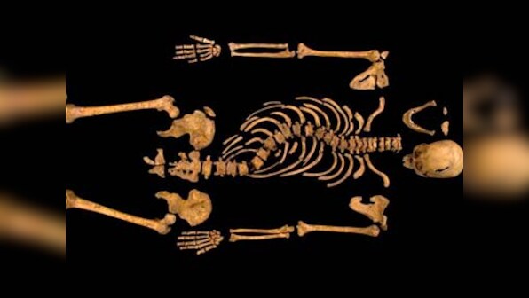 Potential 'killer blow' was responsible for King Richard III's death: researcher 