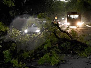 A tree fallen on the road after the storm. PTI 