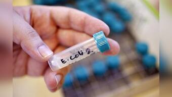 &quot;Superbugs&quot; that can overpower antibiotics are spreading - WHO