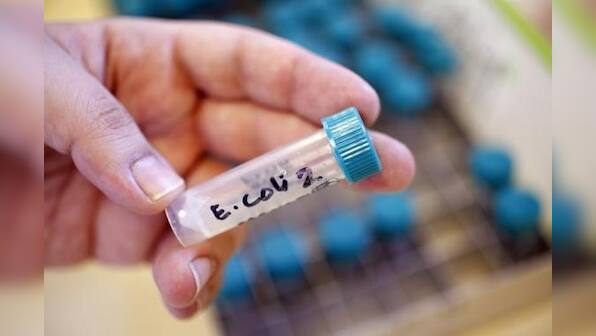 &quot;Superbugs&quot; that can overpower antibiotics are spreading - WHO