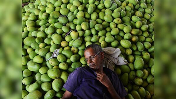 House of Commons to discuss EU ban on Indian mangos