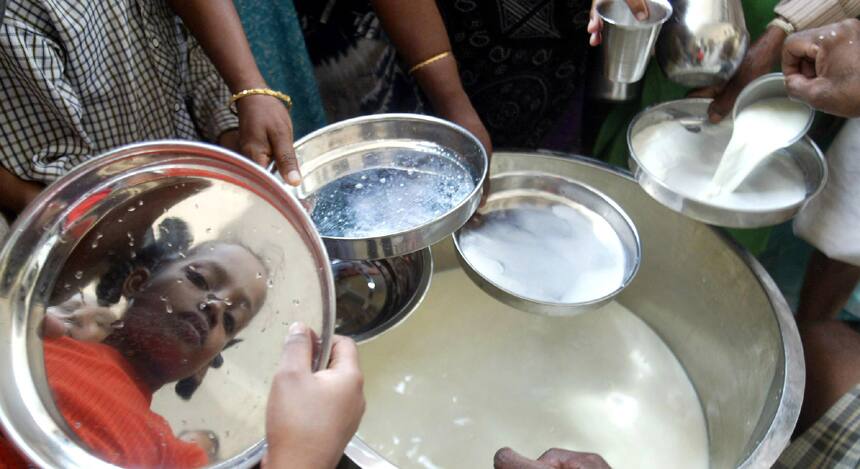 A Morgan Stanley report has listed out 15 incredible facts about India. Here are some of the ones that you may not have known about. India is the largest milk producer in the world (accounting for 16% of global production), with the US second and China third. Image: Reuters