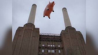 Pink Floyd hints at a reunion tour on Twitter 