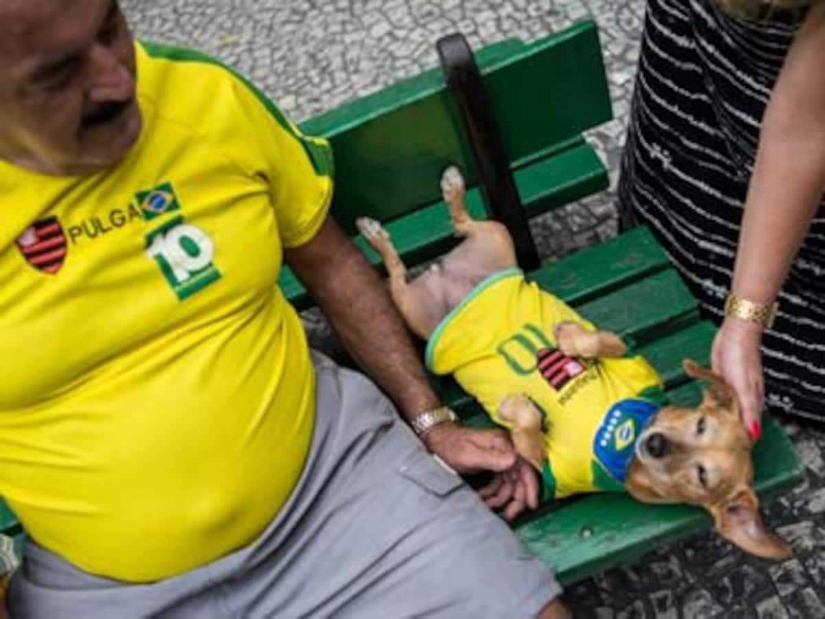 Dog T-Shirt, Dogs Football Jersey Brazil No. 10