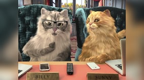 HomeShop18 makes a cheeky sales pitch to viewers in new ad, ropes in animated cats