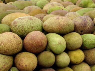 Who stole the Jackfruit? Reuters