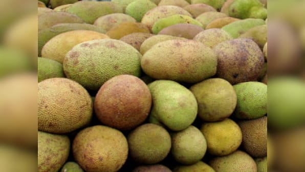 Delhi: Police form team to find 'stolen' jackfruits from MP's house 