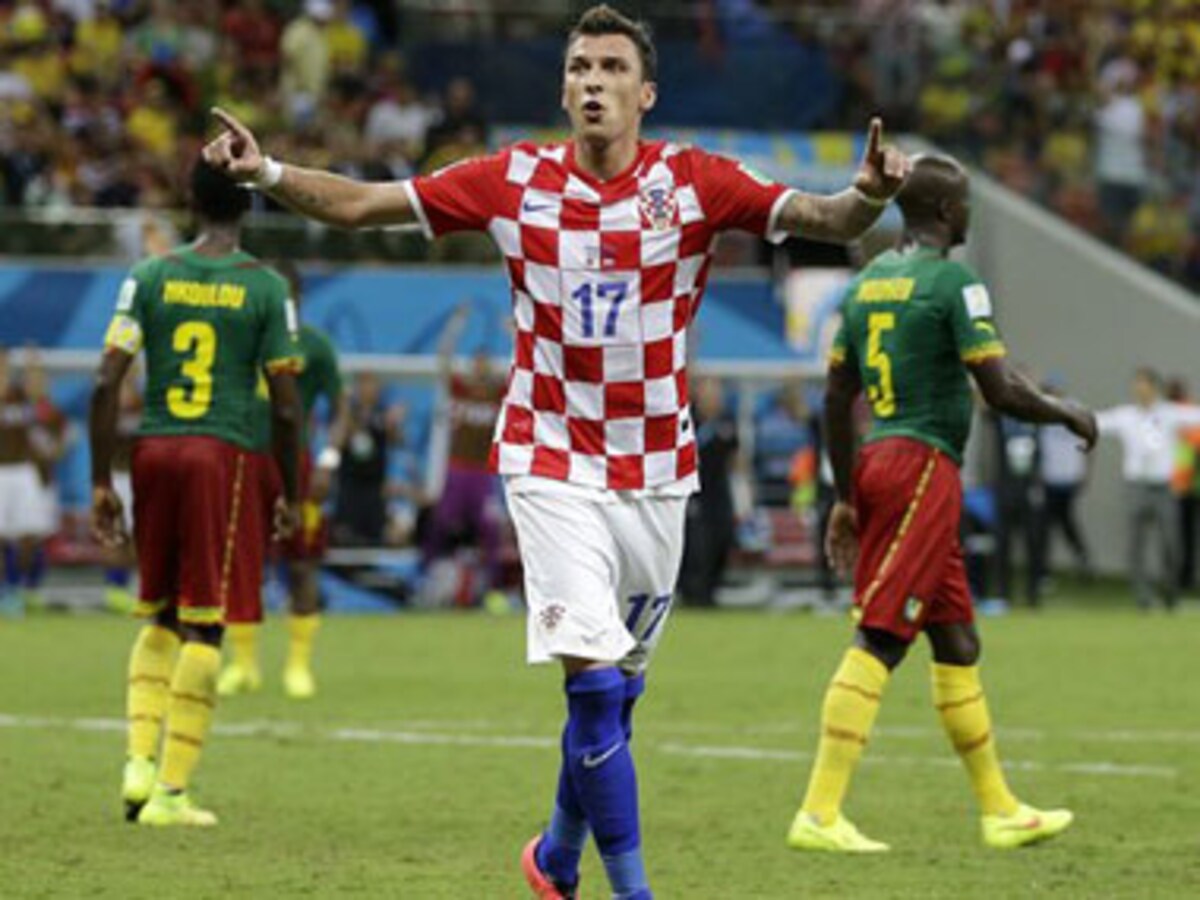 Stipe Pletikosa. Croatia v Cameroon. Group match. FIFA World Cup