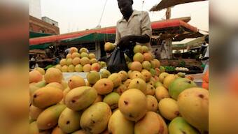 Fruity treat: EU lifts ban on import of mangoes from India