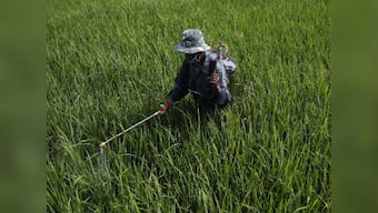 Pesticide deaths: Monocrotophos, which helps plants look green, is killing farmers in India