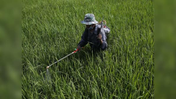 Pesticide deaths: Monocrotophos, which helps plants look green, is killing farmers in India
