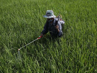 Pesticide deaths: Monocrotophos, which helps plants look green, is killing farmers in India Pesticide deaths: Monocrotophos, which helps plants look green, is killing farmers in India