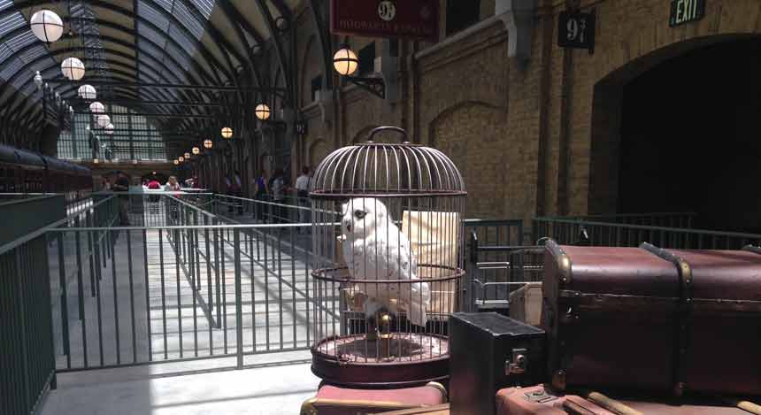 Hedwig, Gringotts and fire-breathing dragons: The all new Harry Potter-Diagon Alley theme park Hedwig, Gringotts and fire-breathing dragons: The all new Harry Potter-Diagon Alley theme park