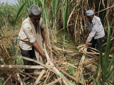 Sugar import duty raised to 25 percent to protect mills