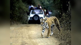 Wildlife poacher Bheema, wanted in several cases, arrested