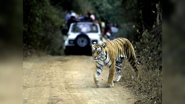 Wildlife poacher Bheema, wanted in several cases, arrested