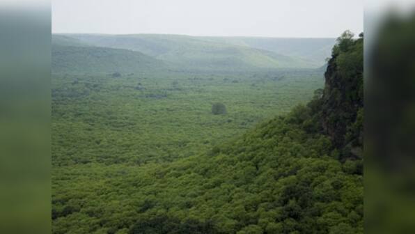 200 crore roadside trees:  How Nitin Gadkari's math is flawed