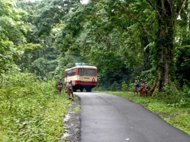 Will the BJP government save Jarawas from a BJP MP? Will the BJP government save Jarawas from a BJP MP?