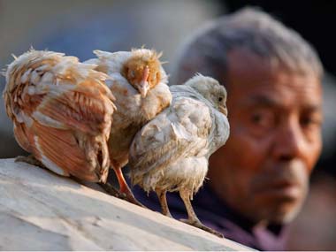 How much antibiotics do Indians consume with 240 cr chicken a year? How much antibiotics do Indians consume with 240 cr chicken a year?