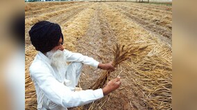 India won't back WTO protocol unless food subsidy concerns addressed