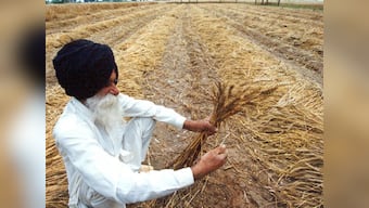 India won't back WTO protocol unless food subsidy concerns addressed