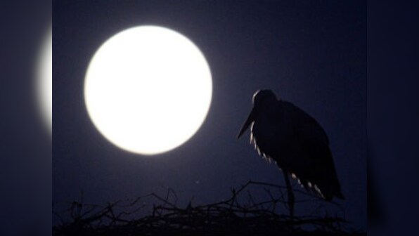 Beautiful full moon night? It might reduce your sleep by 20 mins