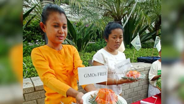 China to punish sale of GM crops following illegal trade expose