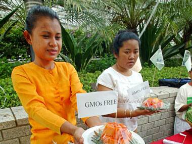 China to punish sale of GM crops following illegal trade expose