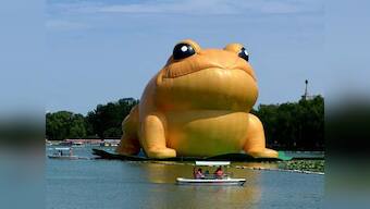 China blocks reports on inflatable toad after netizens compare it to Communist Party chief