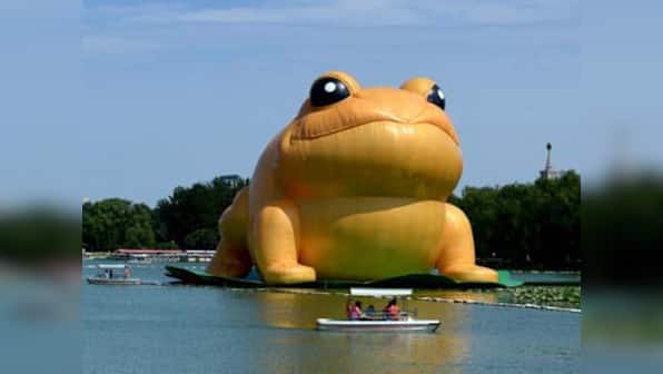 China blocks reports on inflatable toad after netizens compare it to Communist Party chief