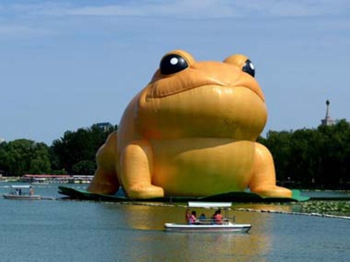 China blocks reports on inflatable toad after netizens compare it to Communist Party chief