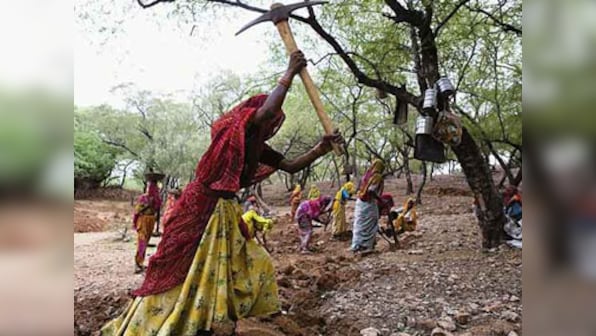 Budget for Bharat: Large investments but only a mild push to rural consumption