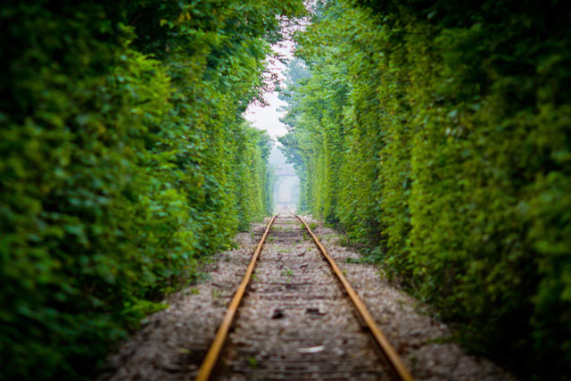 Modi's biggest challenge to put railways on track: pumping in more money Modi's biggest challenge to put railways on track: pumping in more money