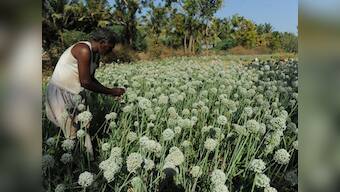 National Green Tribunal asserts independence, is Environment Minister listening?