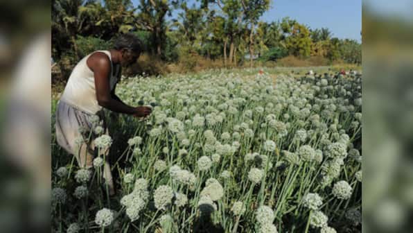 National Green Tribunal asserts independence, is Environment Minister listening?