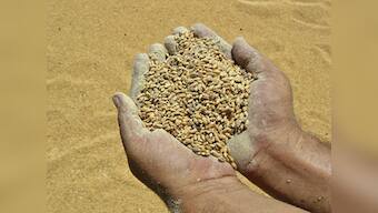 India's stern message to WTO: No TFA without solving food security issue