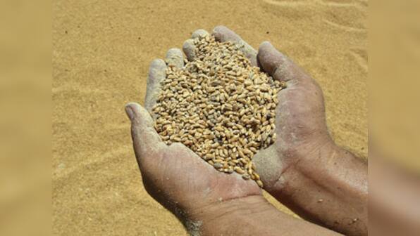 India's stern message to WTO: No TFA without solving food security issue